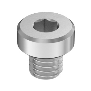 A2 Low-Profile Socket Head Screw M6 x 1 mm Thread Size, 6mm Long图3